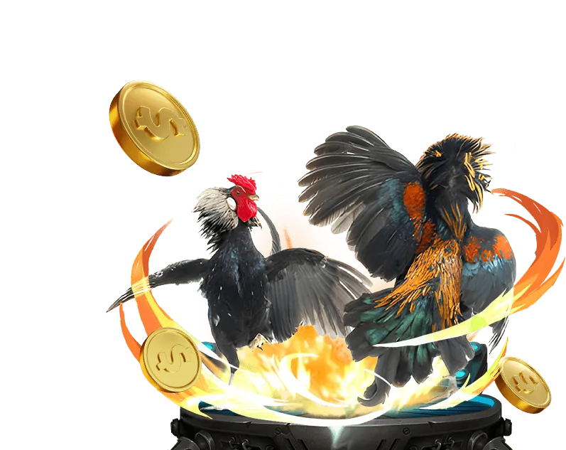 Giá trị cốt lõi songbac68